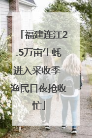 福建连江2.5万亩生蚝进入采收季 渔民日夜抢收忙