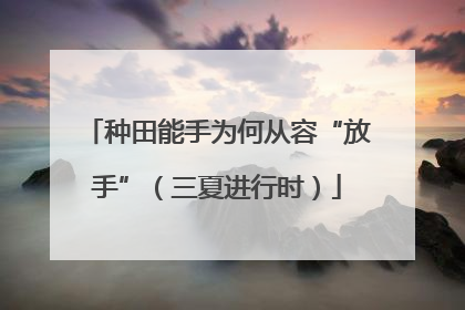 种田能手为何从容“放手”（三夏进行时）
