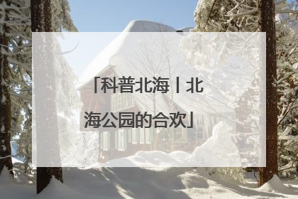 科普北海丨北海公园的合欢