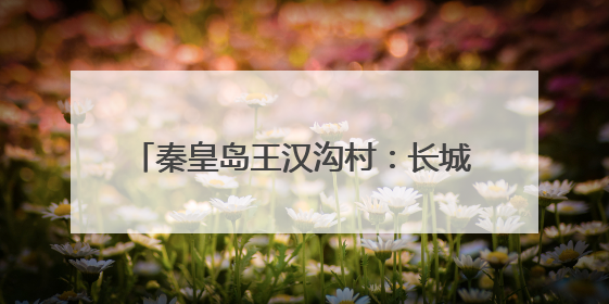 秦皇岛王汉沟村：长城脚下的“甜蜜事业”