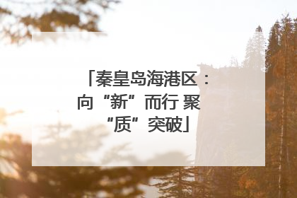 秦皇岛海港区：向“新”而行 聚“质”突破