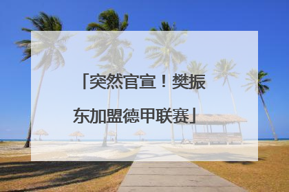 突然官宣！樊振东加盟德甲联赛