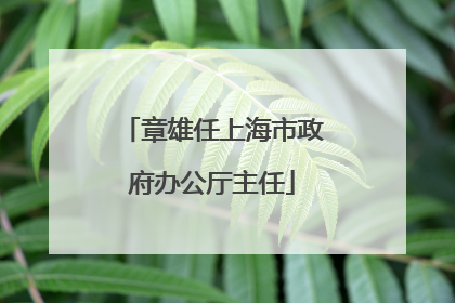 章雄任上海市政府办公厅主任