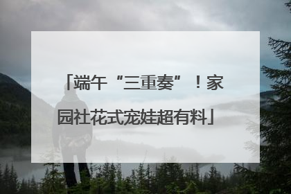 端午“三重奏”！家园社花式宠娃超有料