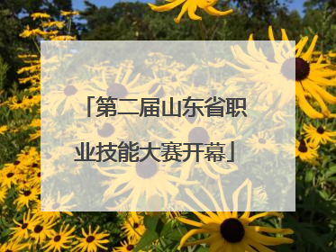 第二届山东省职业技能大赛开幕