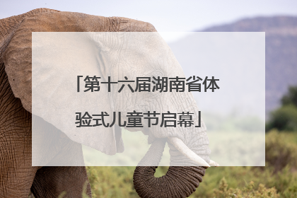 第十六届湖南省体验式儿童节启幕