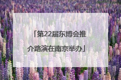 第22届东博会推介路演在南京举办
