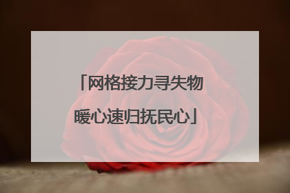 网格接力寻失物 暖心速归抚民心