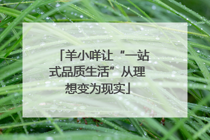 羊小咩让“一站式品质生活”从理想变为现实