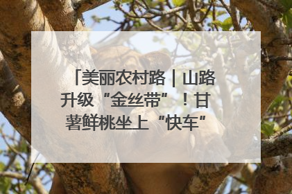美丽农村路｜山路升级“金丝带”！甘薯鲜桃坐上“快车”，开去大市场