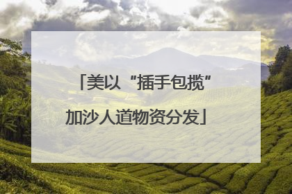 美以“插手包揽”加沙人道物资分发