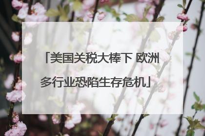 美国关税大棒下 欧洲多行业恐陷生存危机