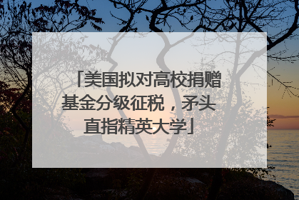 美国拟对高校捐赠基金分级征税，矛头直指精英大学