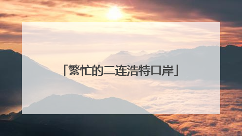 繁忙的二连浩特口岸