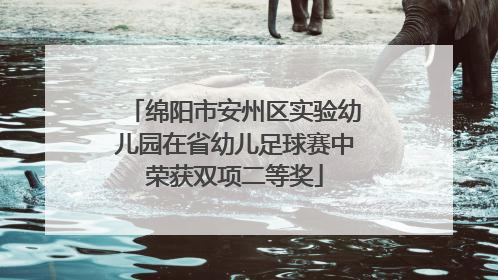 绵阳市安州区实验幼儿园在省幼儿足球赛中荣获双项二等奖