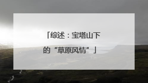 综述：宝塔山下的“草原风情”