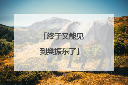终于又能见到樊振东了