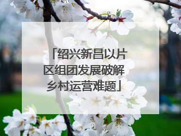 绍兴新昌以片区组团发展破解乡村运营难题