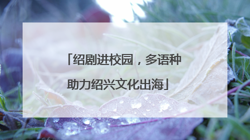 绍剧进校园，多语种助力绍兴文化出海