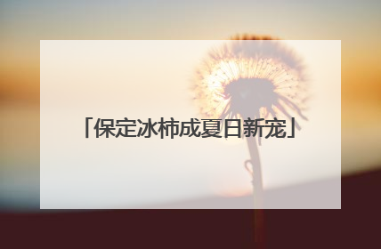 保定冰柿成夏日新宠