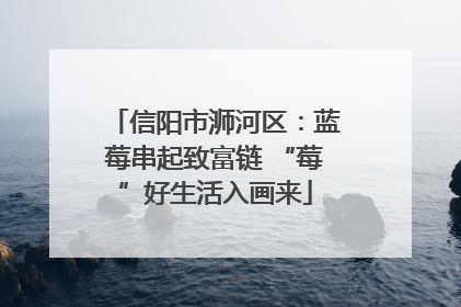 信阳市浉河区：蓝莓串起致富链 “莓”好生活入画来