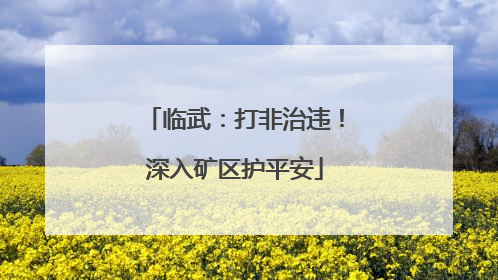 临武：打非治违！深入矿区护平安