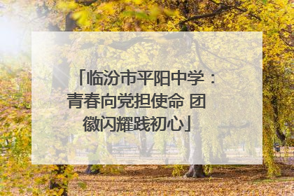 临汾市平阳中学：青春向党担使命 团徽闪耀践初心