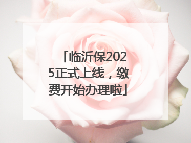 临沂保2025正式上线，缴费开始办理啦