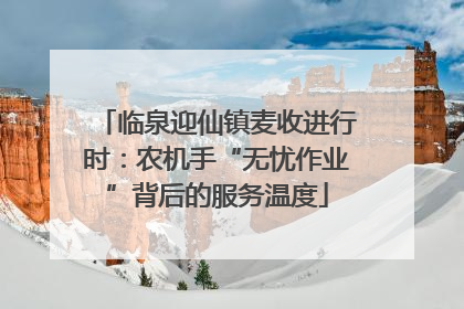 临泉迎仙镇麦收进行时：农机手“无忧作业”背后的服务温度