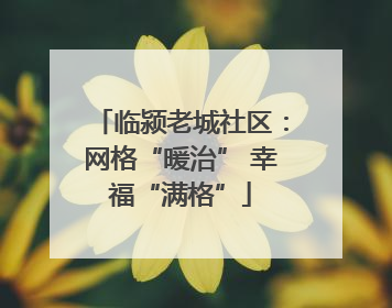 临颍老城社区：网格“暖治” 幸福“满格”