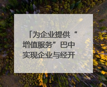 为企业提供“增值服务”巴中实现企业与经开区的“双向奔赴”｜川陕渝网络名人巴中行
