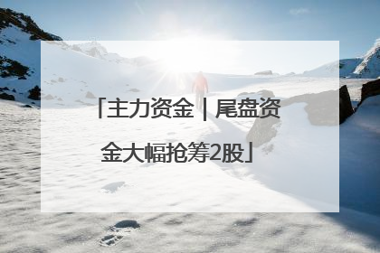 主力资金｜尾盘资金大幅抢筹2股