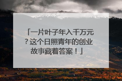 一片叶子年入千万元？这个日照青年的创业故事藏着答案！