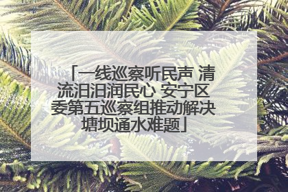 一线巡察听民声 清流汨汨润民心 安宁区委第五巡察组推动解决塘坝通水难题