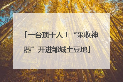一台顶十人！“采收神器”开进邹城土豆地
