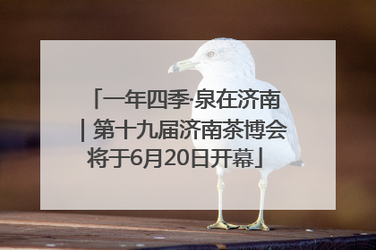 一年四季·泉在济南｜第十九届济南茶博会将于6月20日开幕