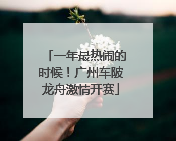 一年最热闹的时候！广州车陂龙舟激情开赛