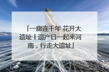 一廊连千年 花开大遗址丨遗产日一起来河南，行走大遗址