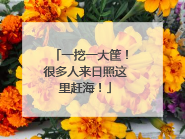 一挖一大筐！很多人来日照这里赶海！