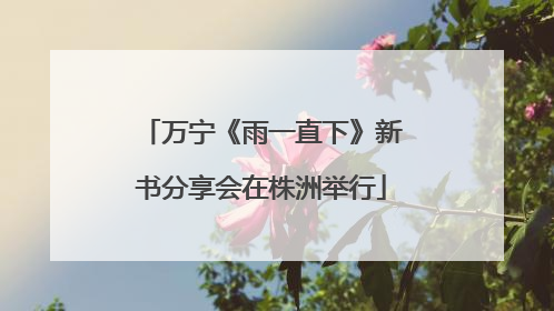 万宁《雨一直下》新书分享会在株洲举行