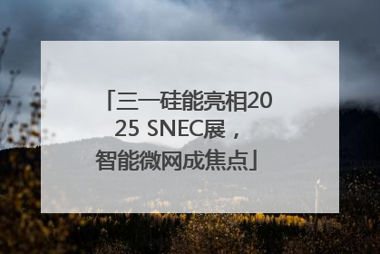 三一硅能亮相2025 SNEC展，智能微网成焦点