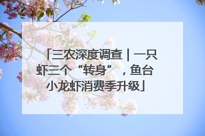 三农深度调查｜一只虾三个“转身”，鱼台小龙虾消费季升级