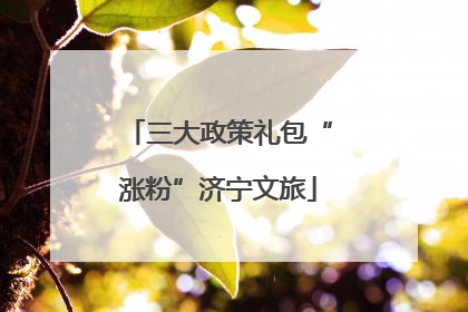 三大政策礼包“涨粉”济宁文旅