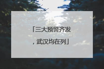 三大预警齐发，武汉均在列