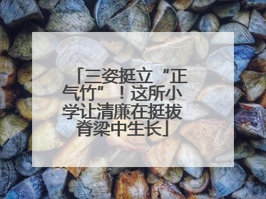 三姿挺立“正气竹”！这所小学让清廉在挺拔脊梁中生长