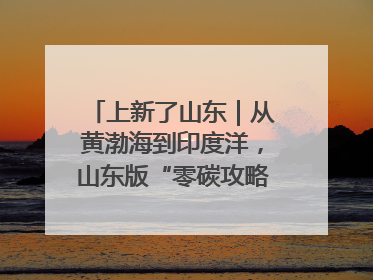 上新了山东｜从黄渤海到印度洋，山东版“零碳攻略”有多能打？