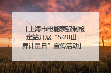 上海市电能表强制检定站开展“5·20世界计量日”宣传活动