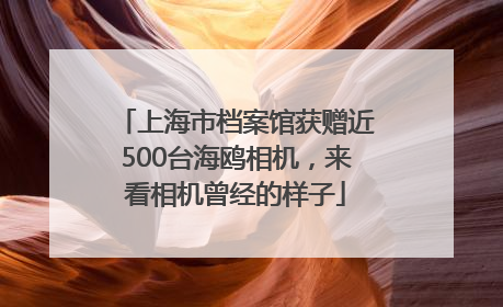 上海市档案馆获赠近500台海鸥相机，来看相机曾经的样子