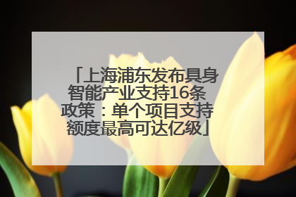 上海浦东发布具身智能产业支持16条政策：单个项目支持额度最高可达亿级