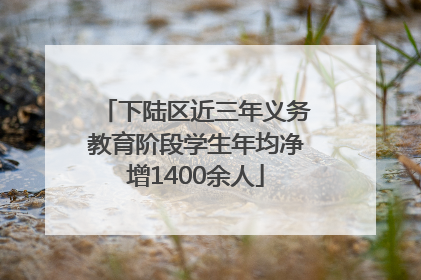 下陆区近三年义务教育阶段学生年均净增1400余人